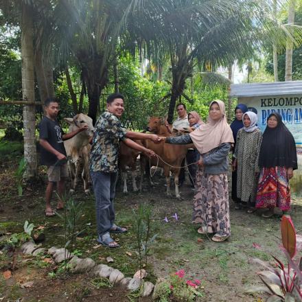 Album : penyerah terimaan 4 ekor sapi ke kelompok tani